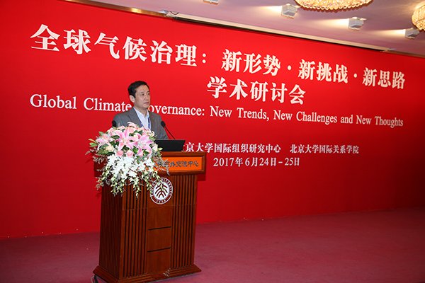 北京大学国际关系学院副院长王逸舟