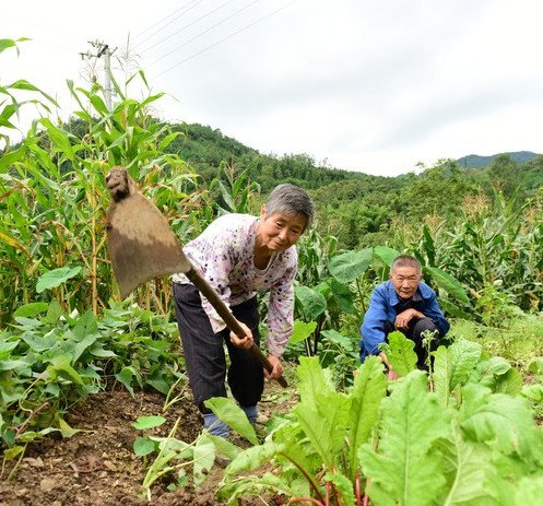 Image of Rural Development and Disaster Management - Oxfam in mainland China 