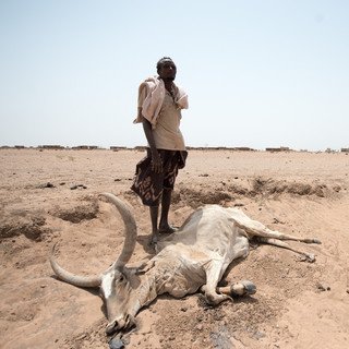 East Africa Food Crisis